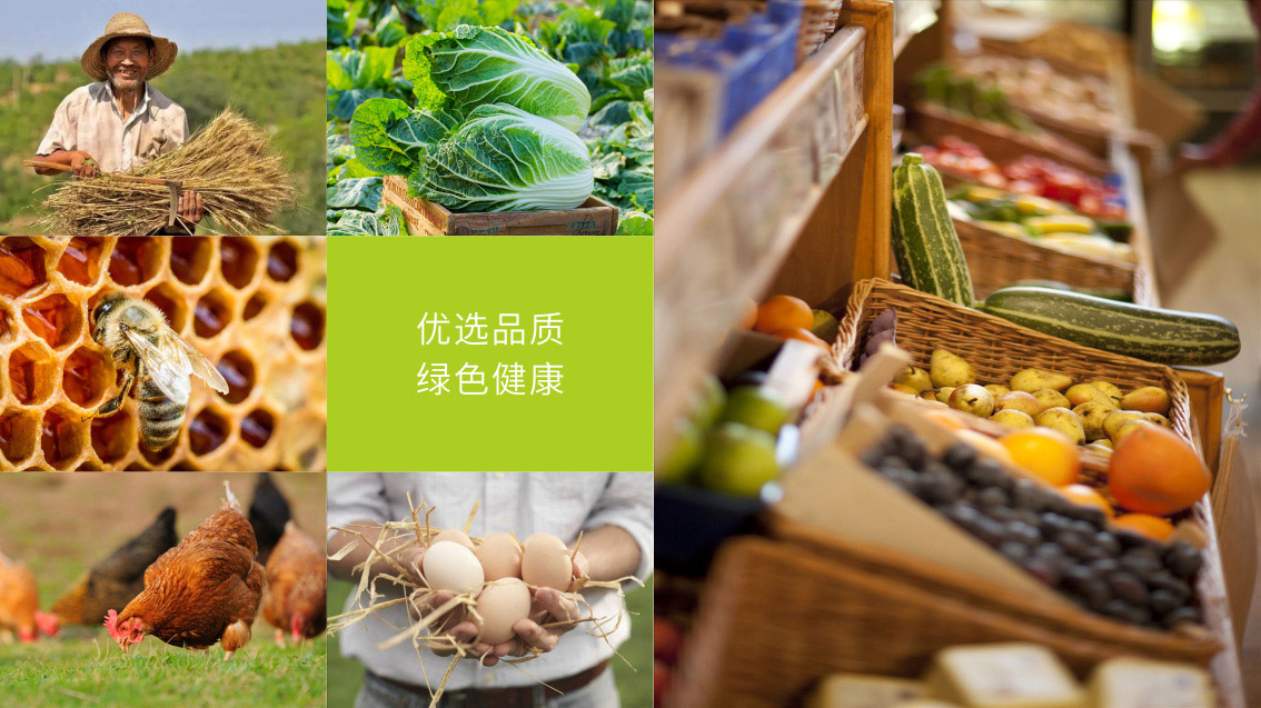 水果連鎖VI設計，水果連鎖logo設計,江西VI設計